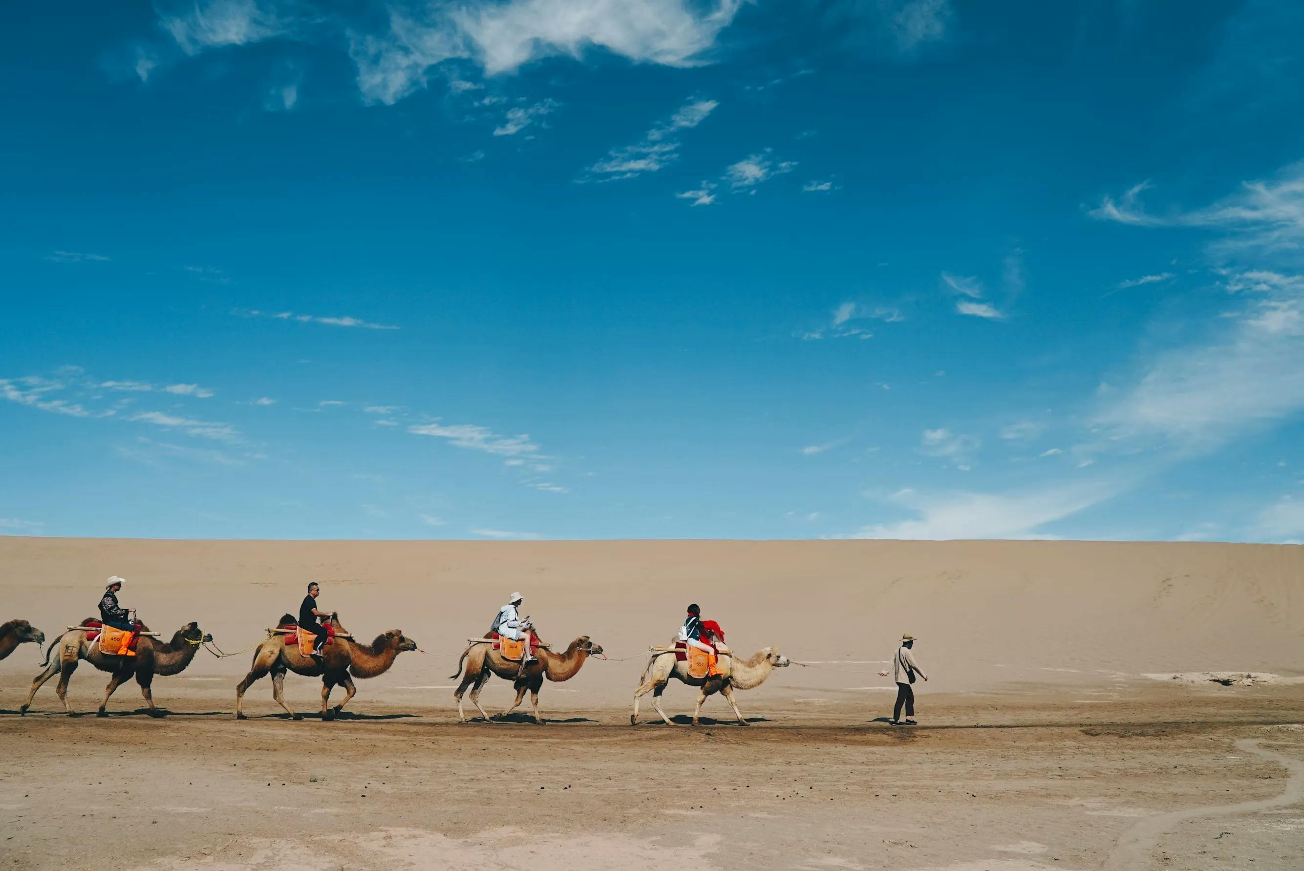 【Every Weekend】Inner Mongolia Grassland + Desert Camel Tour